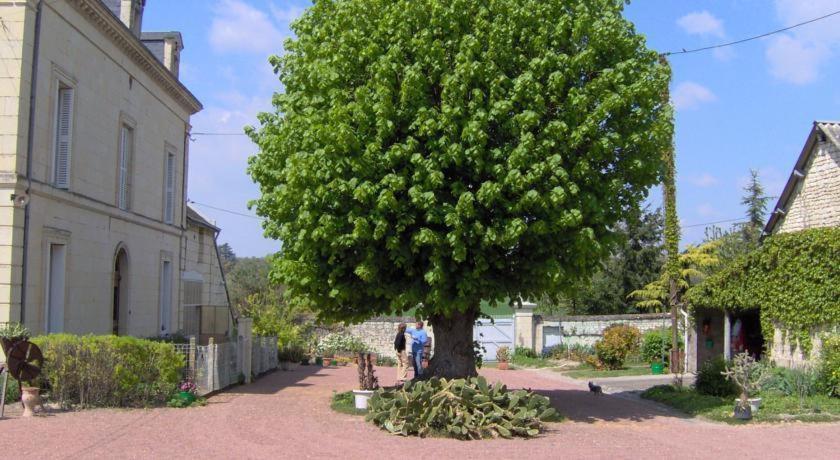 Les Roulottes De Cuzay Villa Roiffé Værelse billede